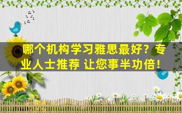 哪个机构学习雅思最好？专业人士推荐 让您事半功倍！